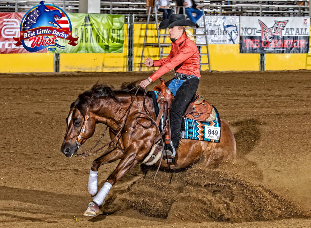 Coaching CR Equine